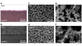 Electrical Conductivity and Photodetection in 3D Printed Nanoporous Structures