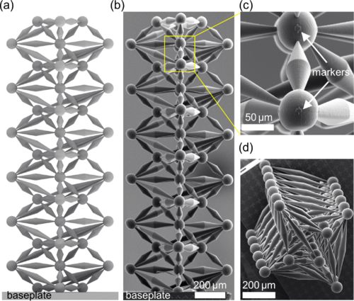 Exploring 3D Maxwell Beams with Floppy Modes